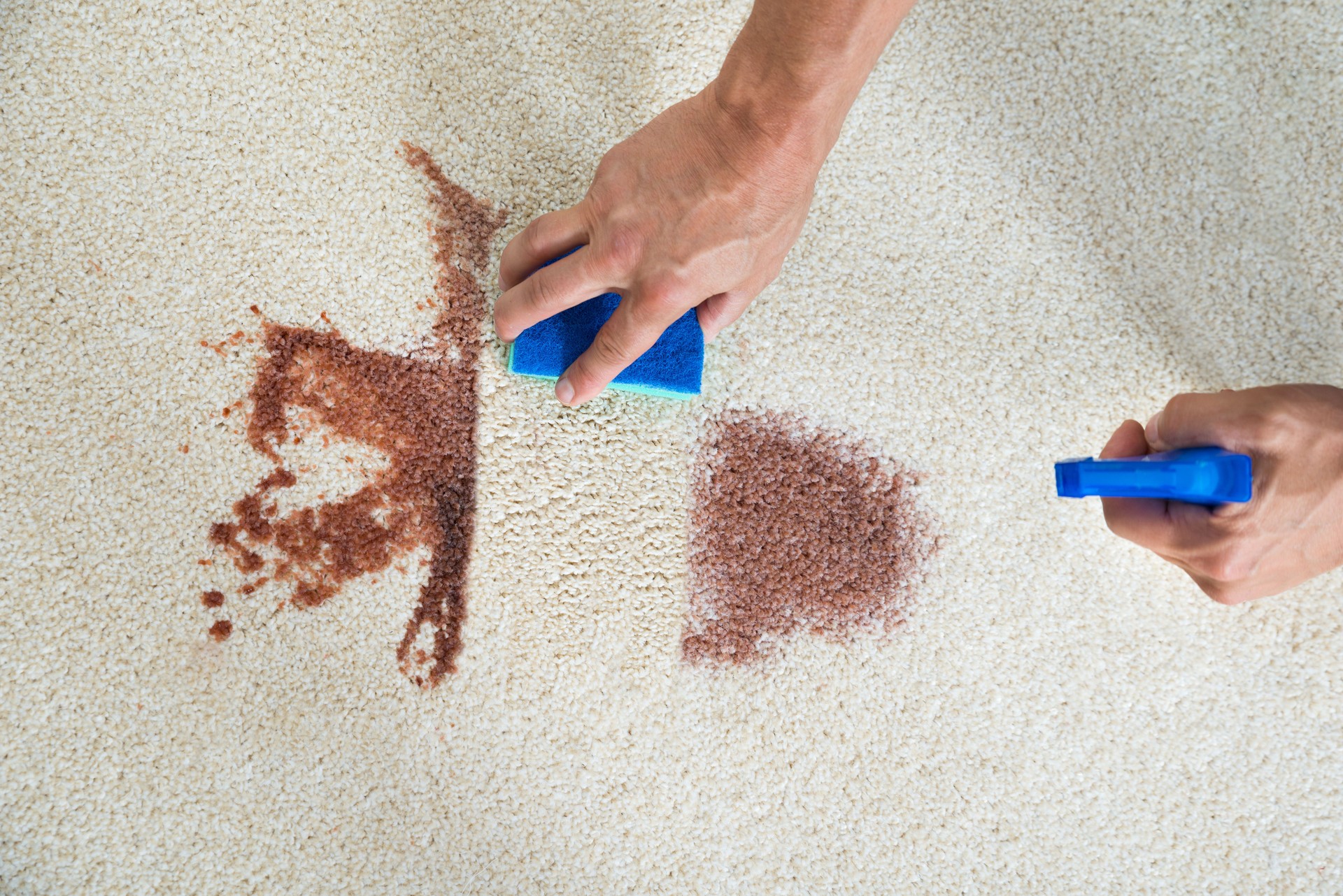 Man Cleaning Stain On Carpet With Sponge